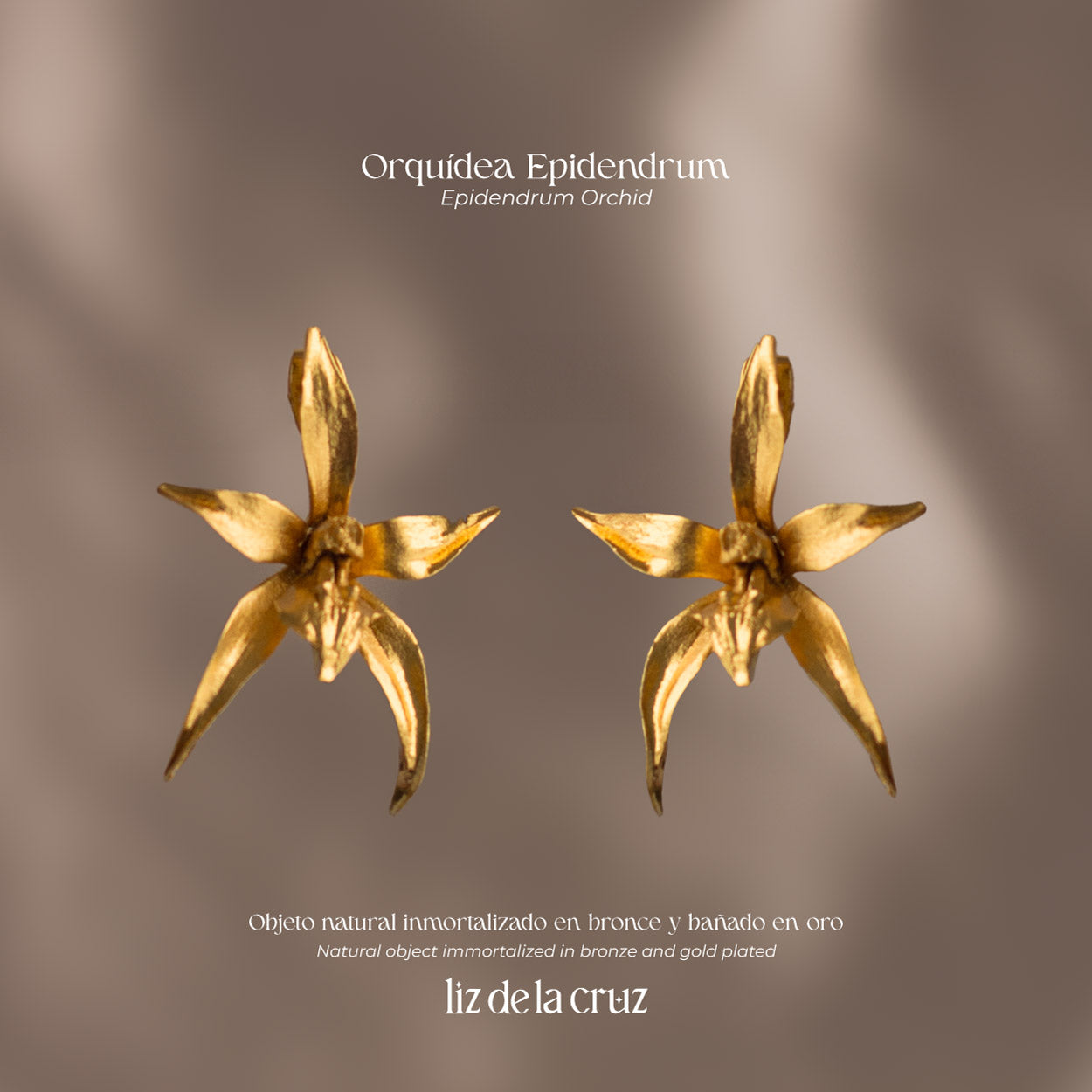 Aretes de Orquidea Epidendrum artesanales en bronce enchapado en oro de 24k, capturando la inigualable belleza de la flor natural