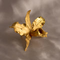 Anillo Orquídea Cattleya en bronce bañado en oro de 24k, mostrando la forma exquisita de una flor natural cultivada en las montañas de Cundinamarca