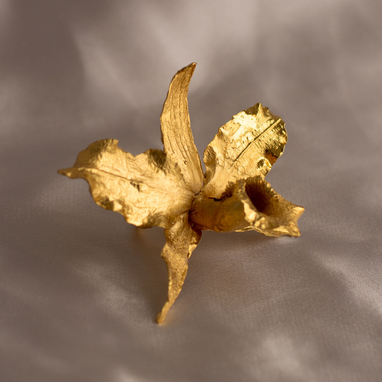 Anillo Orquídea Cattleya en bronce bañado en oro de 24k, mostrando la forma exquisita de una flor natural cultivada en las montañas de Cundinamarca
