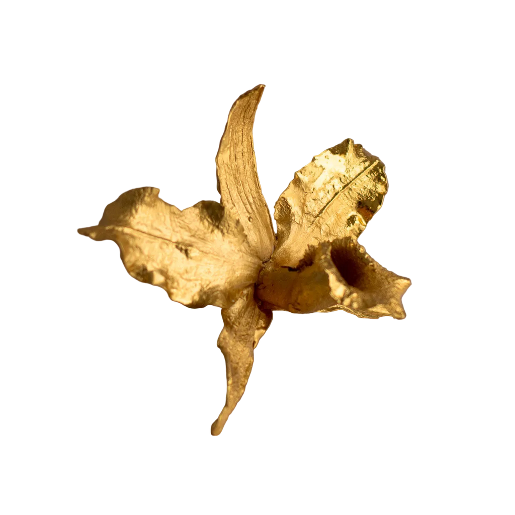 Anillo Orquídea Cattleya, Reina del Bosque
