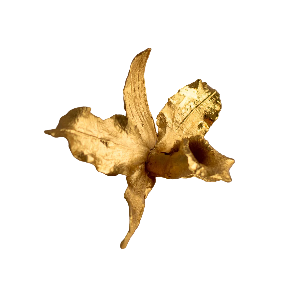 Anillo Orquidea Cattleya
