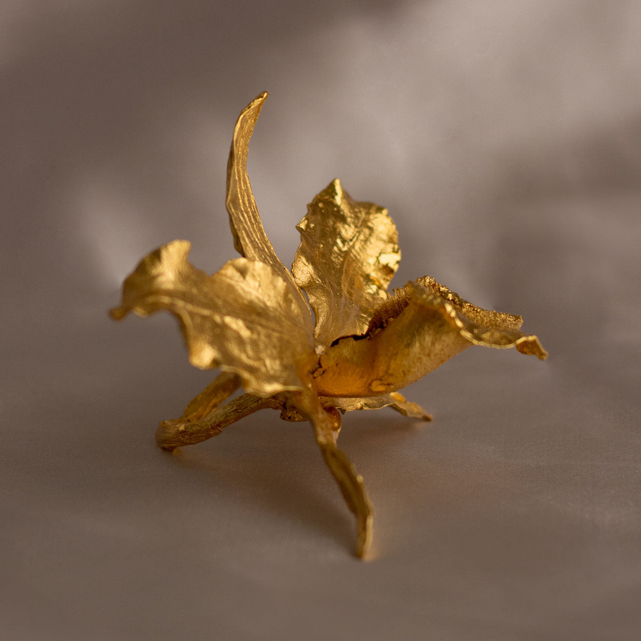 Anillo Orquídea Cattleya en bronce bañado en oro de 24k, mostrando la forma exquisita de una flor natural cultivada en las montañas de Cundinamarca