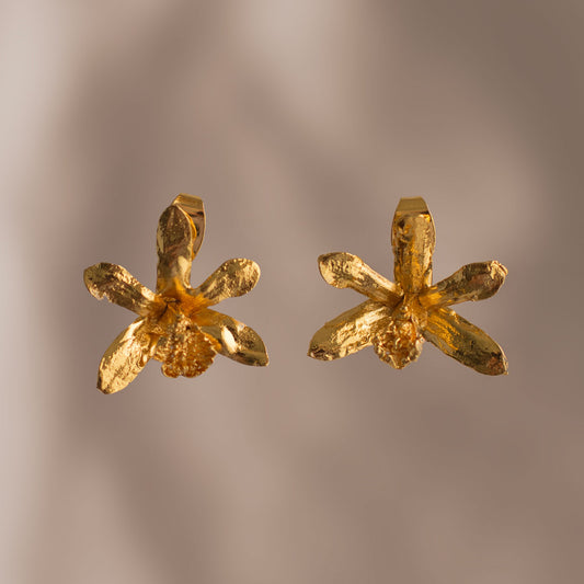 aretes topo con orquídea jirafita natural inmortalizada en bronce enchapado en oro de 24 kilates