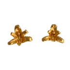 Aretes Topo Orquidea Maxilaria