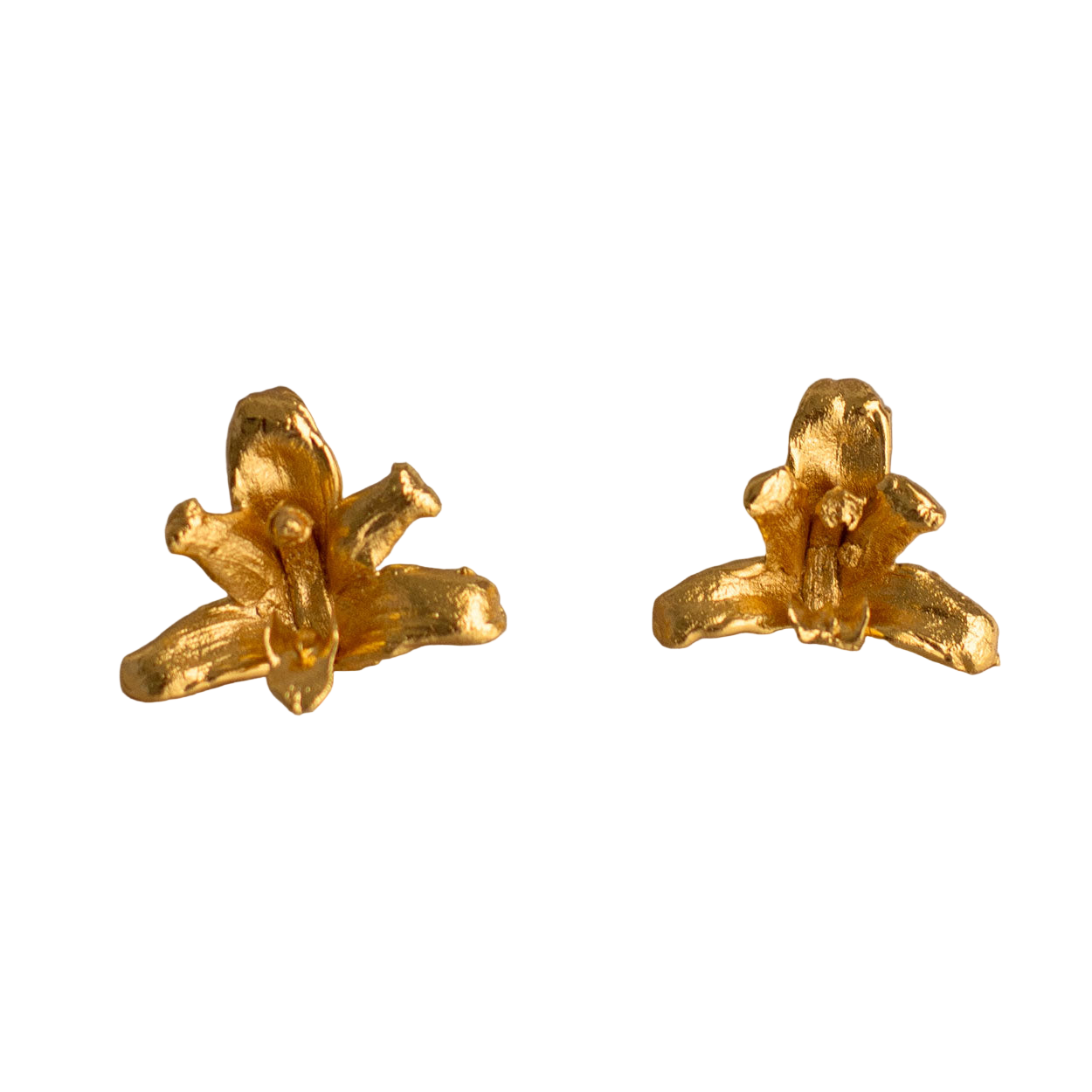 Aretes Topo Orquidea Maxilaria