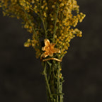 Anillo Orquídea Maxilaria en bronce bañado en oro de 24k, mostrando la forma delicada y única de una flor natural de orquídea