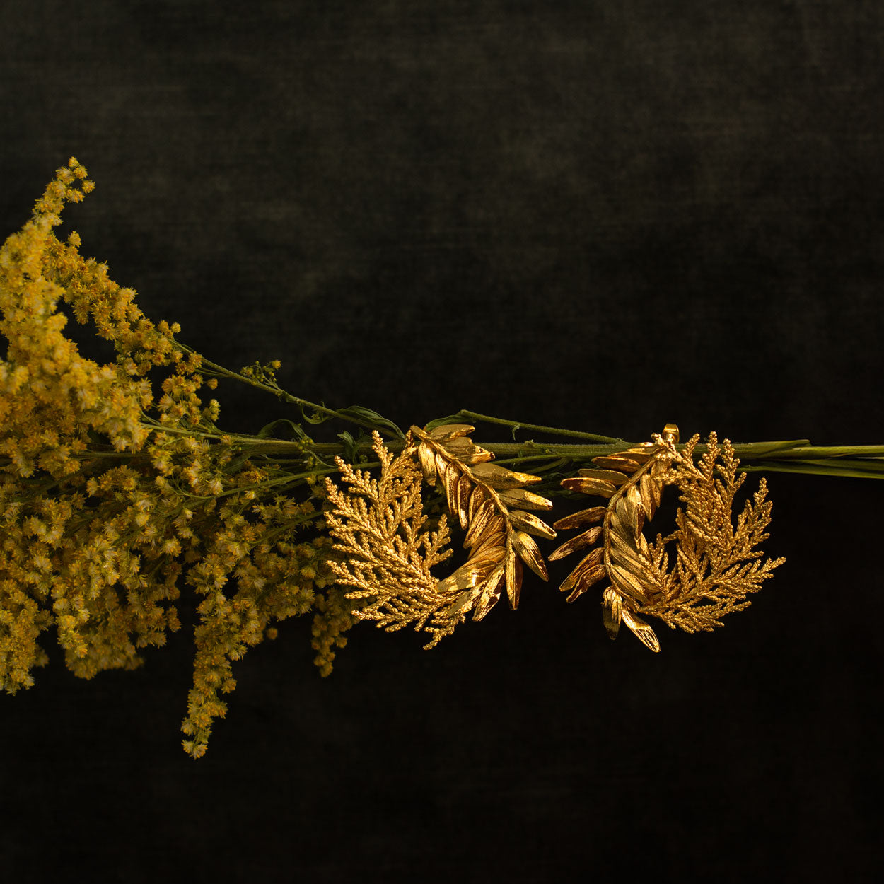 Aretes Romeron Hoja Pino Espiral en bronce bañado en oro de 24k, mostrando la forma única de hojas naturales de pino romerón y ciprés.