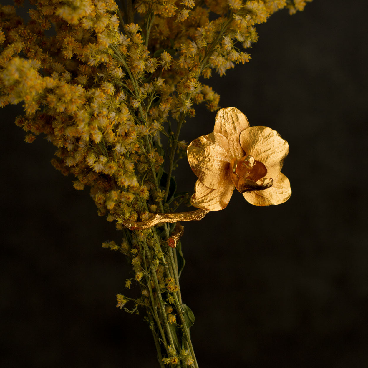 Anillo Ramita Orquídea Phalaenopsis Baby Large en bronce bañado en oro de 24k, destacando la combinación única de flores y ramitas naturales