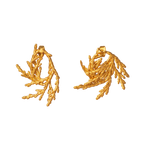 Aretes Topo Hoja Pino Espiral