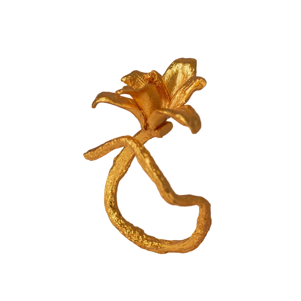 Anillo Orquidea Maxilaria