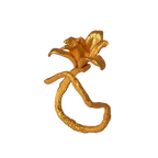 Anillo Orquidea Maxilaria