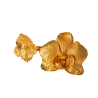 Anillo Orquidea Phalaenopsis Hortensia