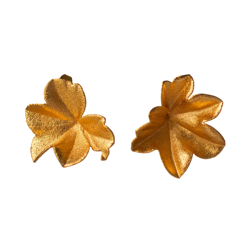 Aretes Topo Hiedra