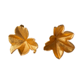 Aretes Topo Hiedra
