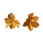 Aretes Topo Hiedra