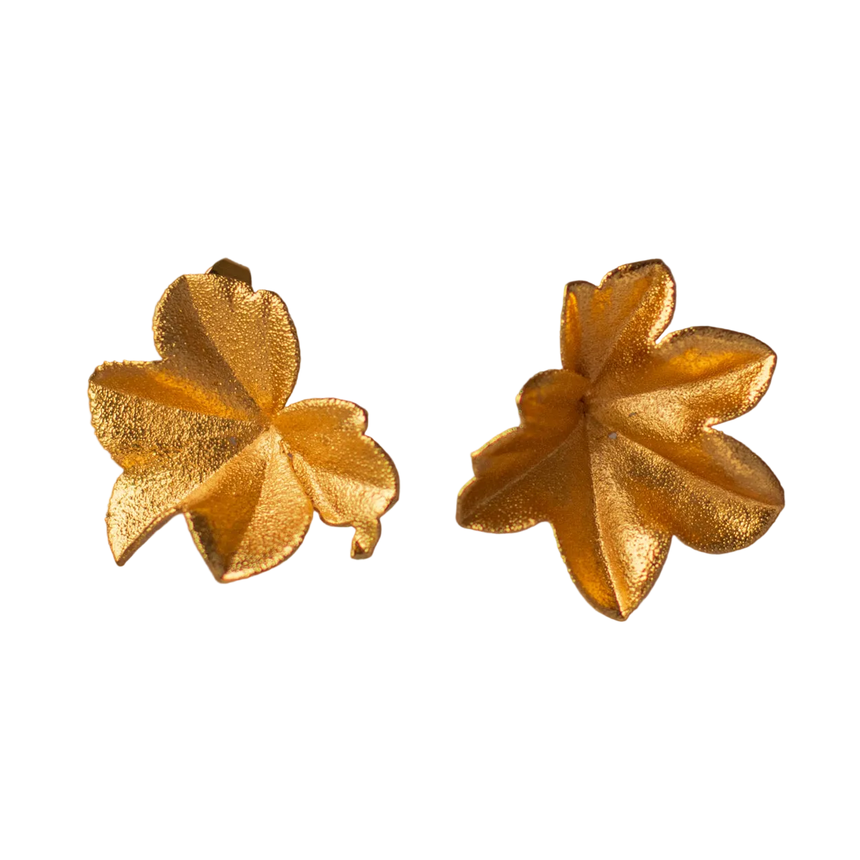 Aretes Topo Hiedra