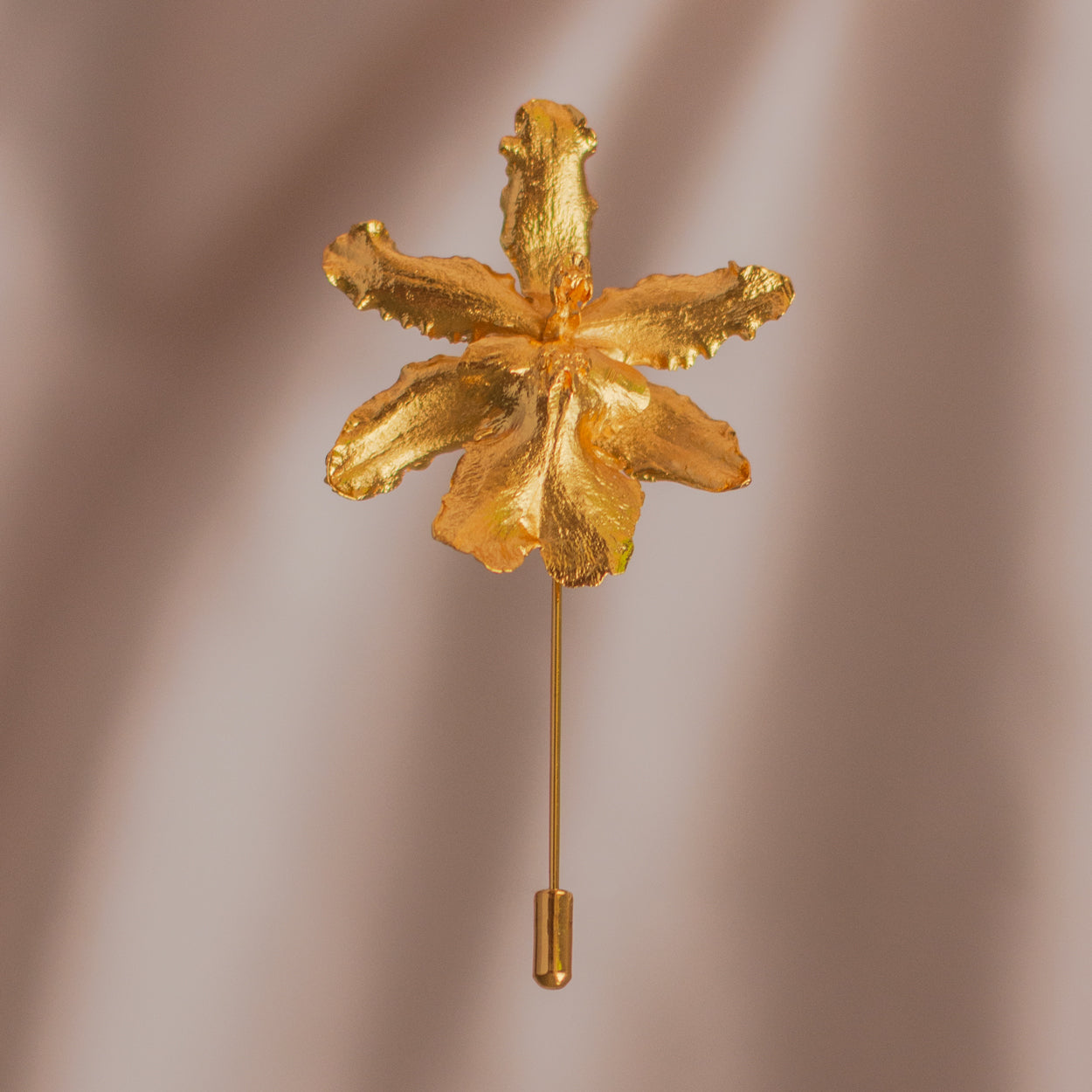 Broche Orquidea Odontoglossum
