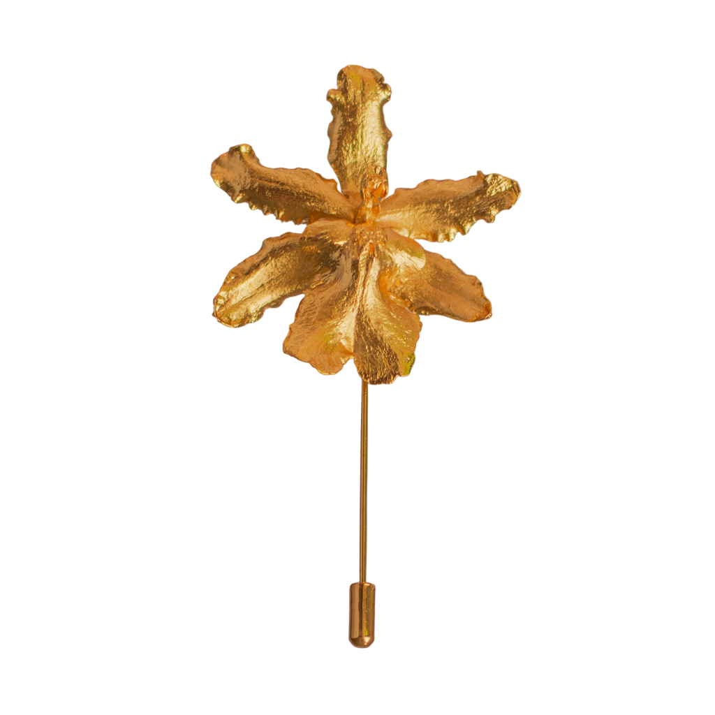 Broche Orquidea Odontoglossum