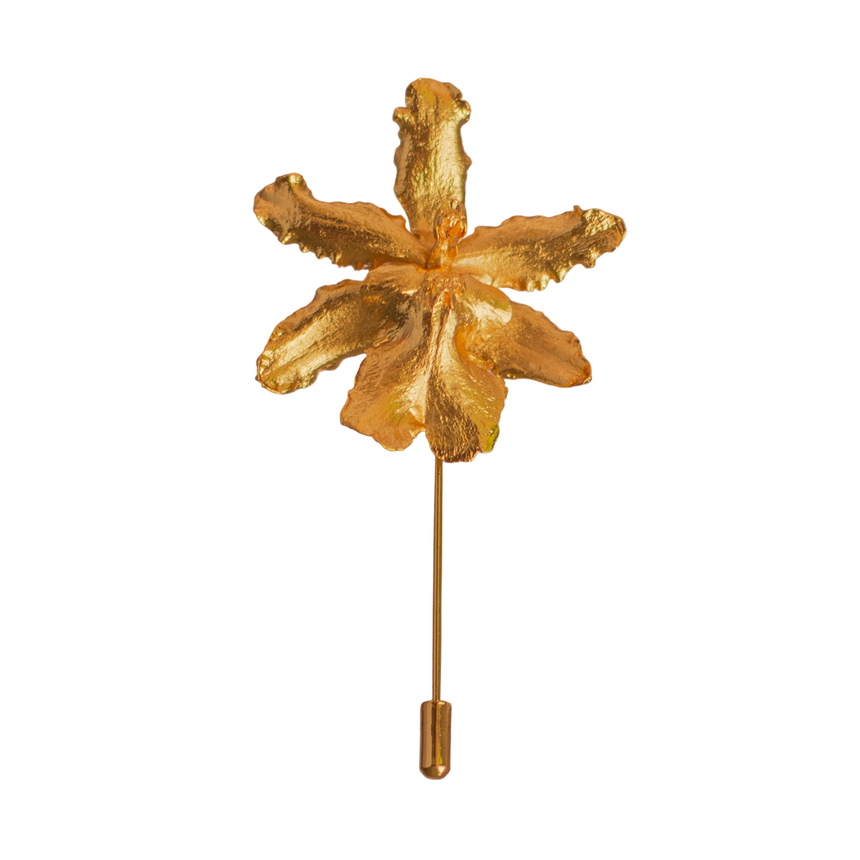 Broche Orquidea Odontoglossum