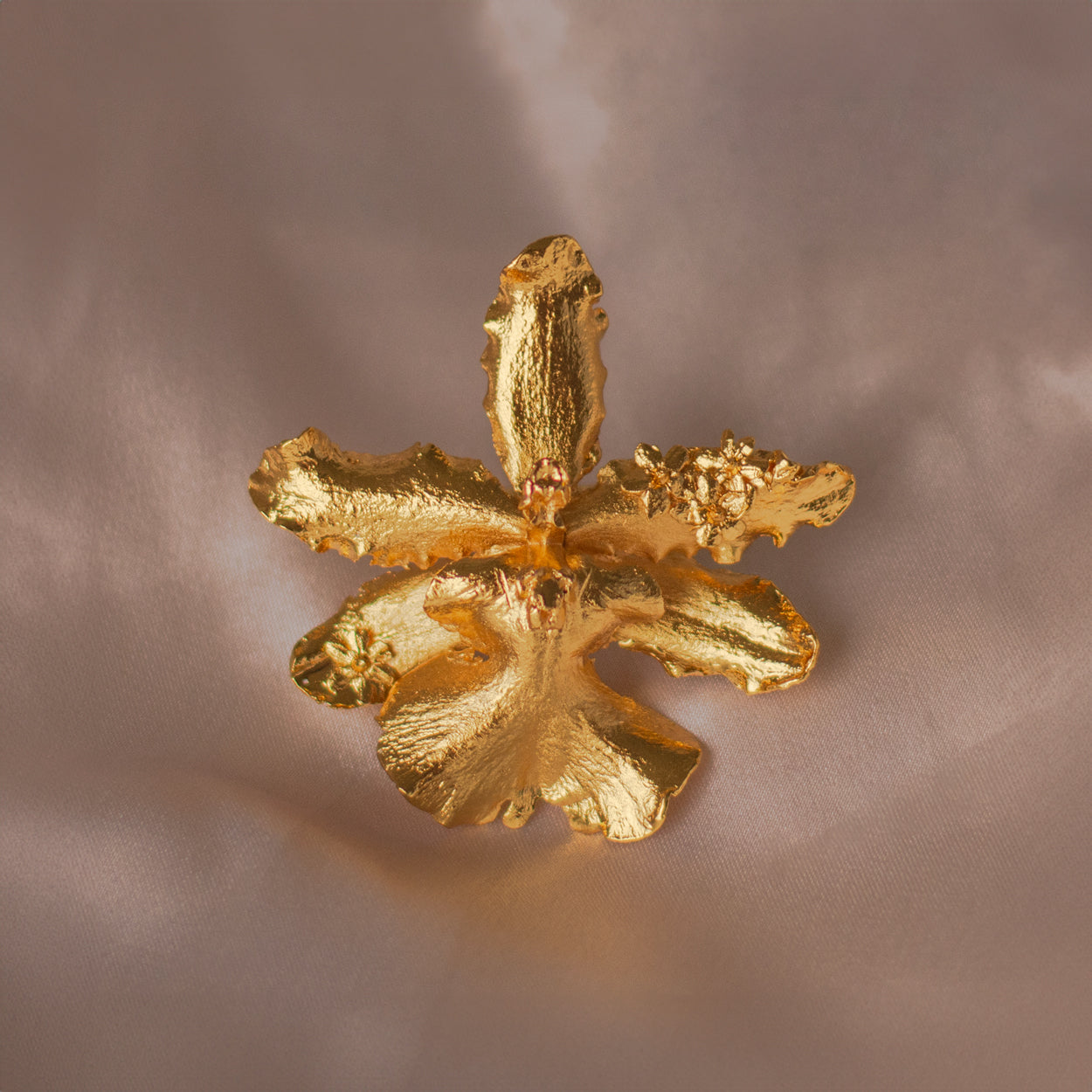Anillo Orquídea Odontoglossum Flor Sauco en bronce bañado en oro de 24k, resaltando la fusión de flores naturales con un diseño artesanal exclusivo