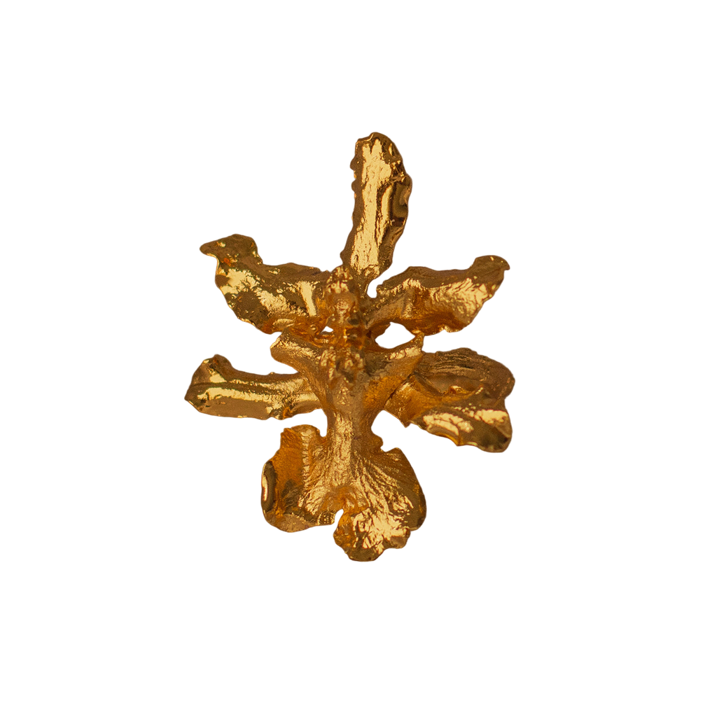 Anillo Orquidea Chocolate