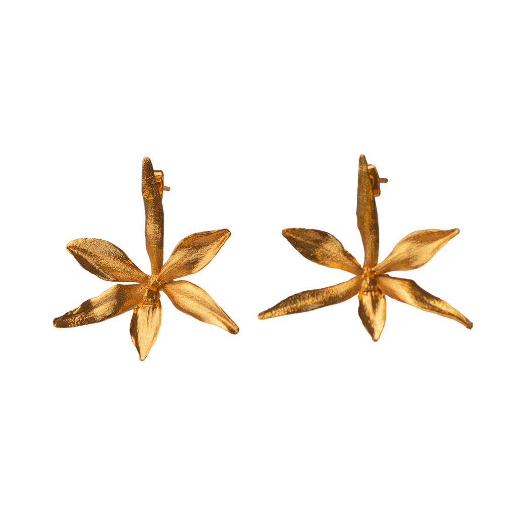 Aretes Topo Orquidea Prosthechea Fragans