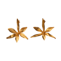 Aretes Topo Orquidea Prosthechea Fragans