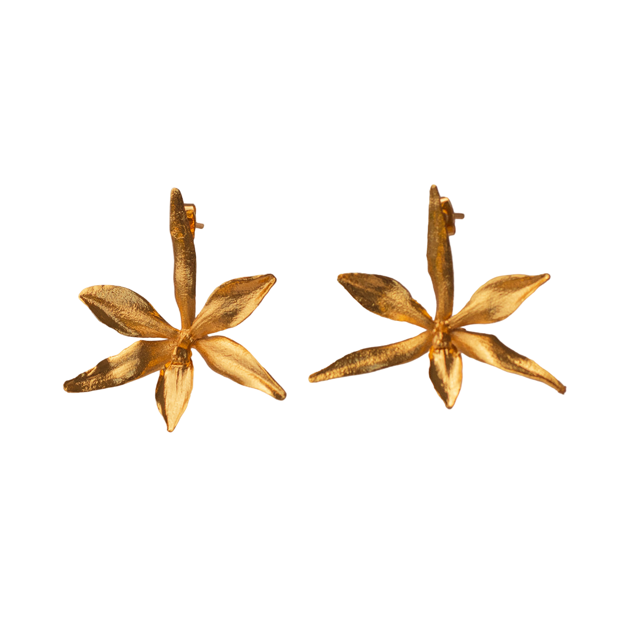 Aretes Topo Orquidea Prosthechea Fragans