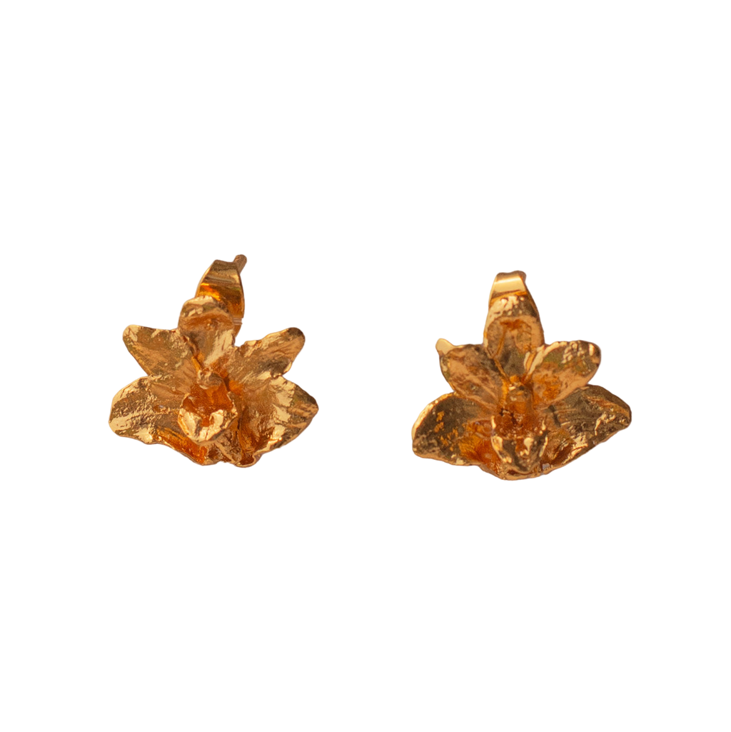 Aretes Topo Orquidea Maxilaria