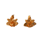 Aretes Topo Orquidea Maxilaria