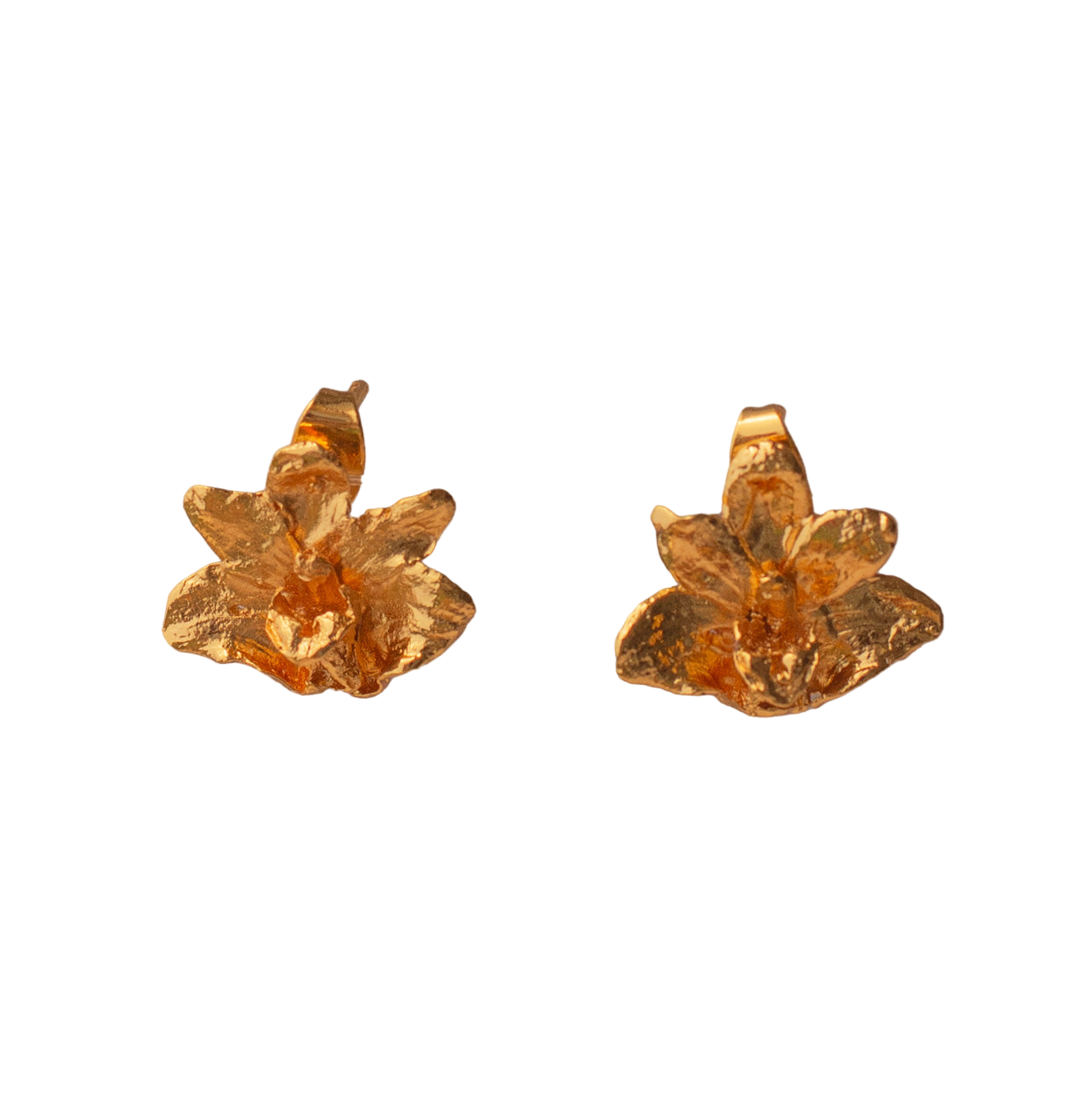 Aretes Topo Orquidea Maxilaria