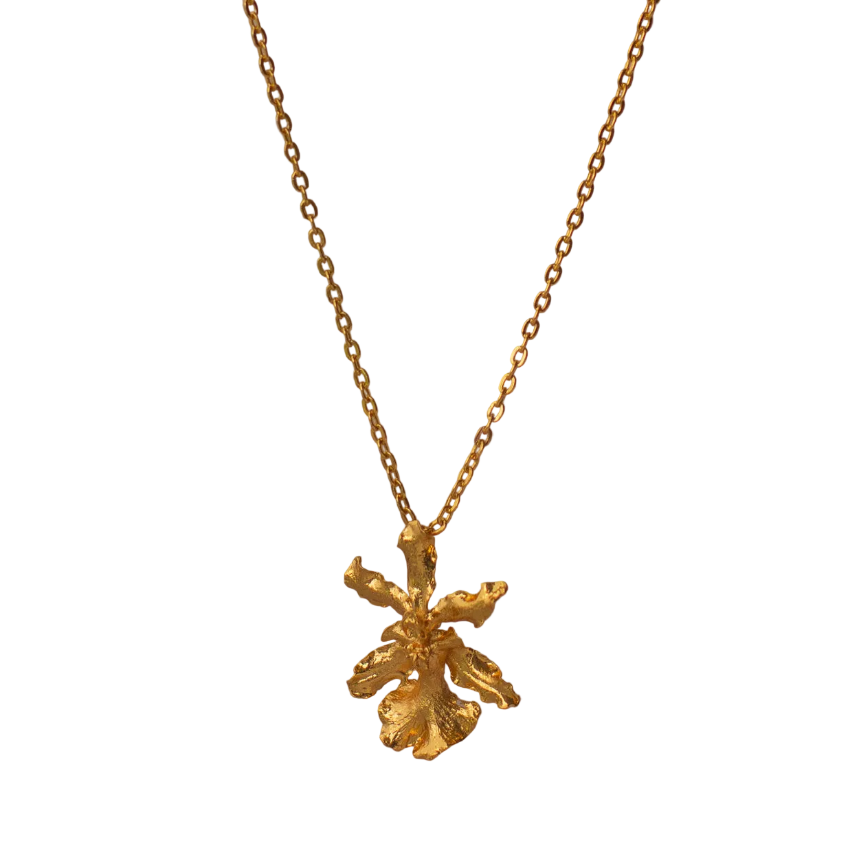 Collar Gargantilla Orquidea Chocolate