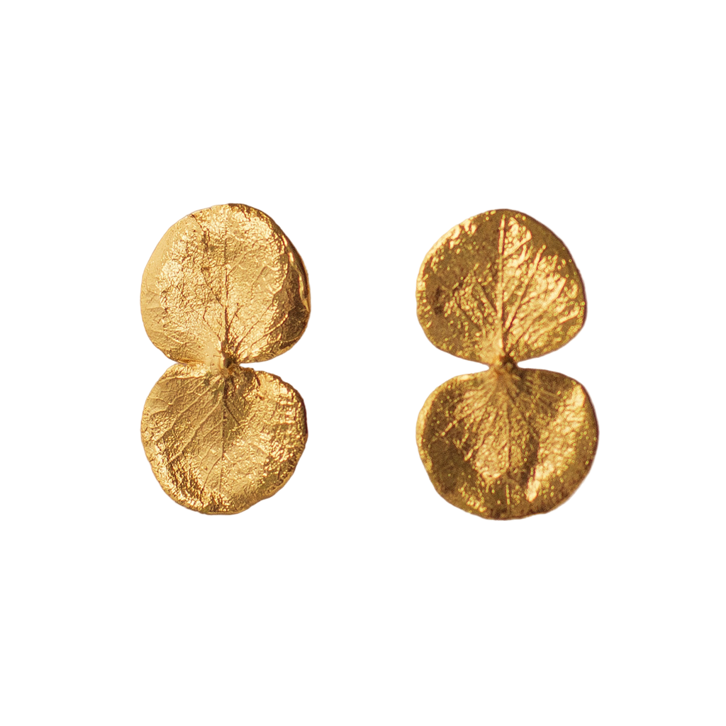 Aretes Topo Eucaliptos