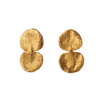 Aretes Topo Eucaliptos