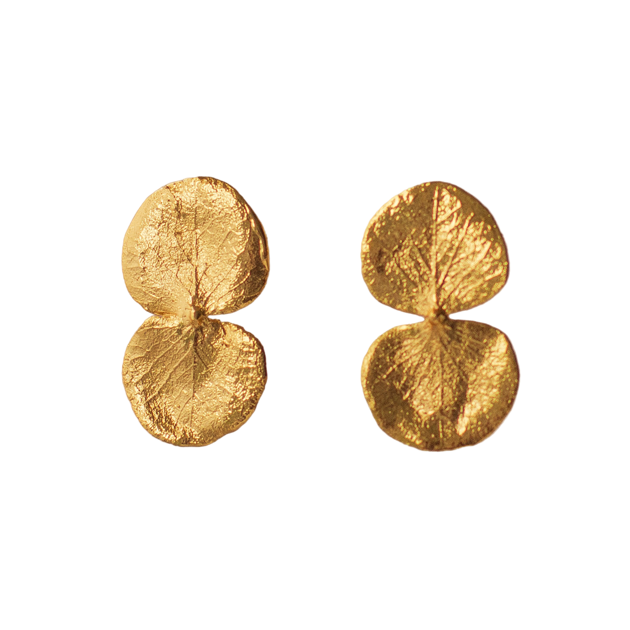 Aretes Topo Eucaliptos