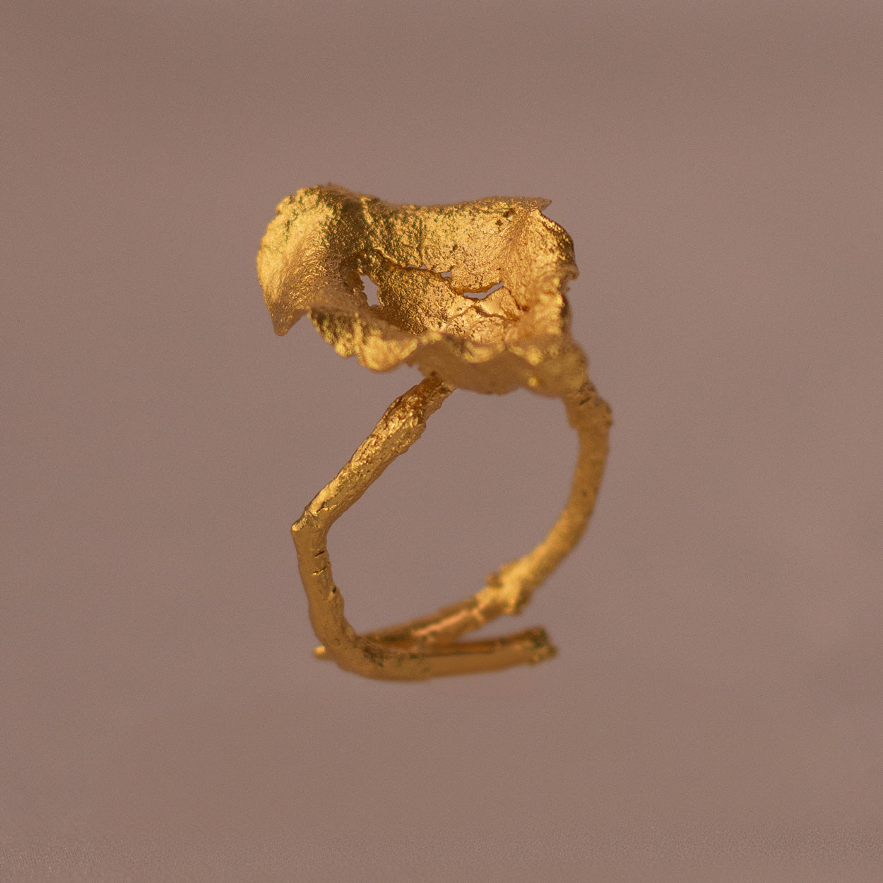 Anillo Conchita Ondulada en bronce bañado en oro de 24k, destacando la forma natural y única de las conchitas inmortalizadas