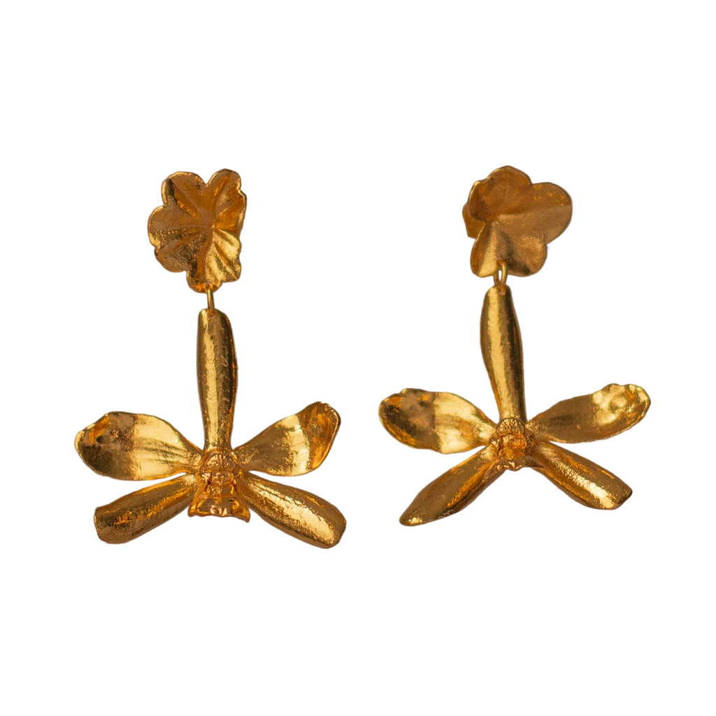 Aretes Orquidea Prosthechea Crassilabia Hoja Hiedra