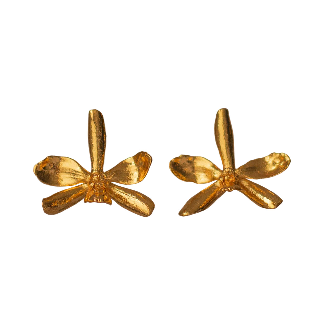 Aretes Topo Orquidea Prosthechea Crassilabia