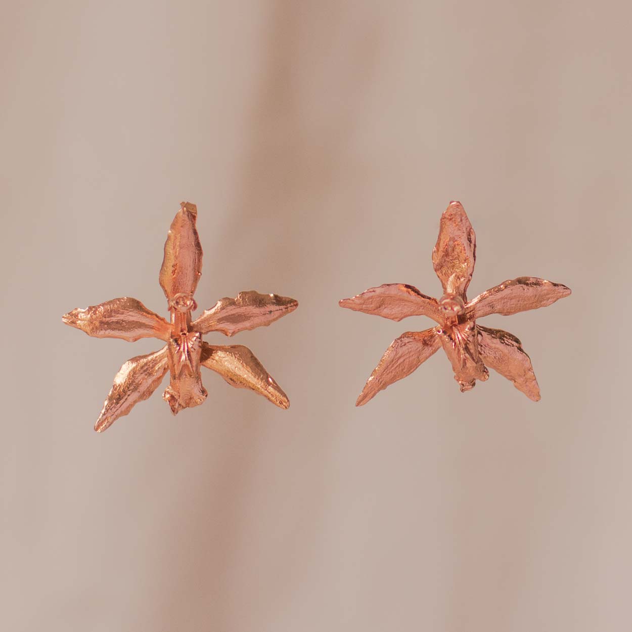 Aretes Topo Orquidea Oncidium Maculatum