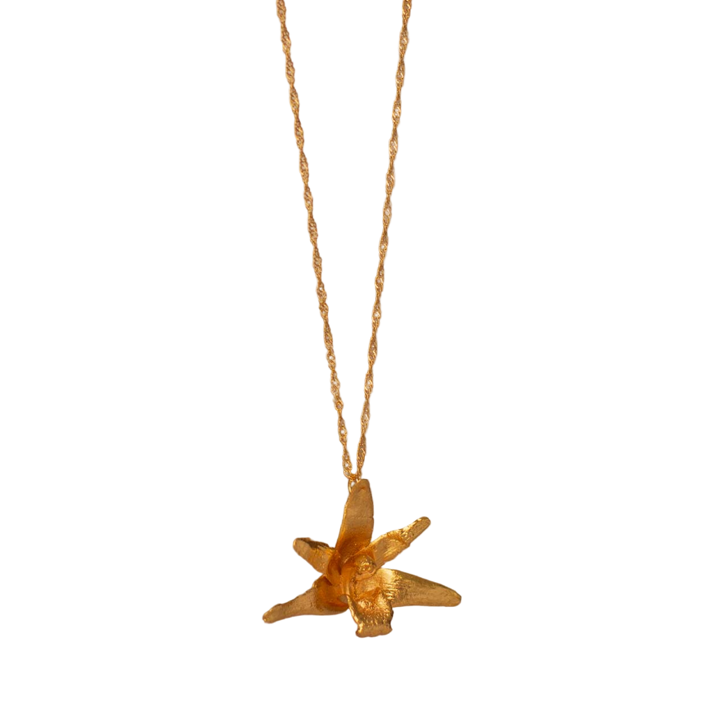 Collar Gargantilla Orquidea Maxilaria Grande