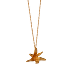 Collar Gargantilla Orquidea Maxilaria Grande