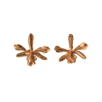 Aretes Topo Orquidea Prosthechea Sceptra