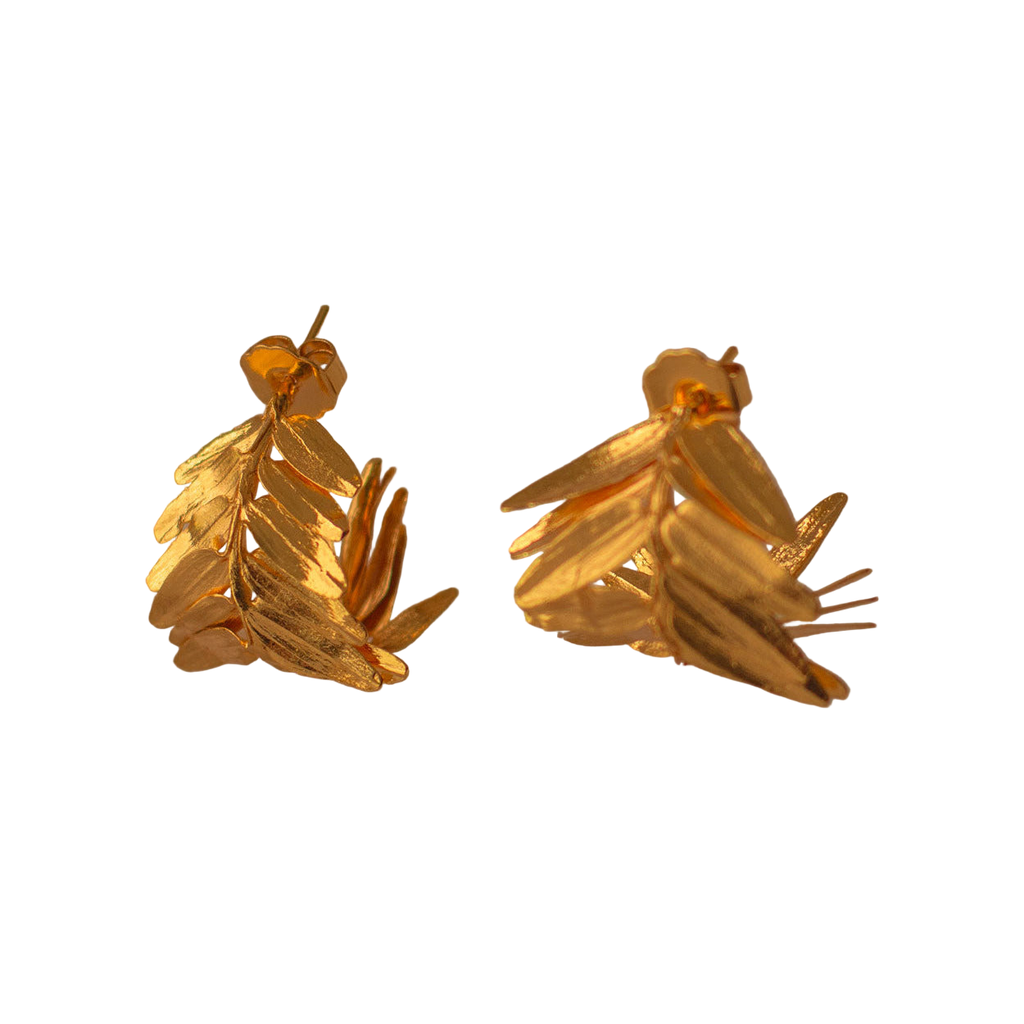 Aretes Candonga Helecho Romeron