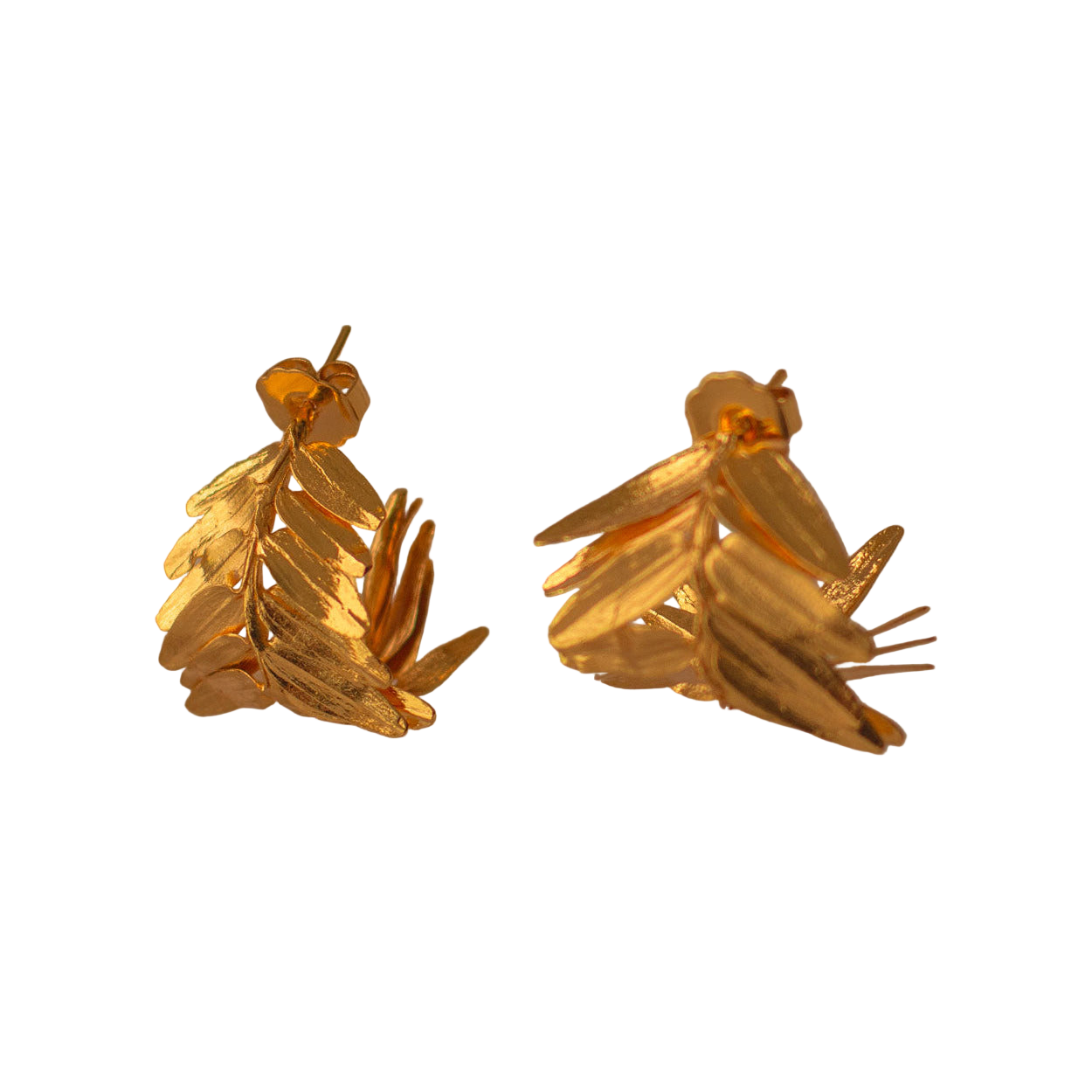 Aretes Candonga Helecho Romeron