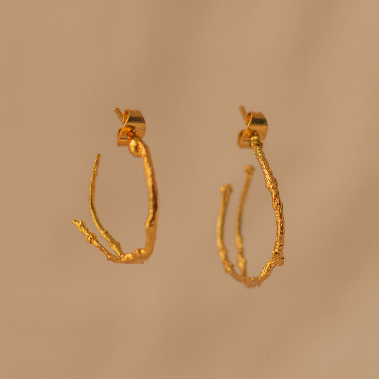 aretes candonga con ramita real de pino en bronce con baño de oro 24k
