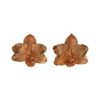 Aretes Topo Orquidea Phalaenopsis Baby
