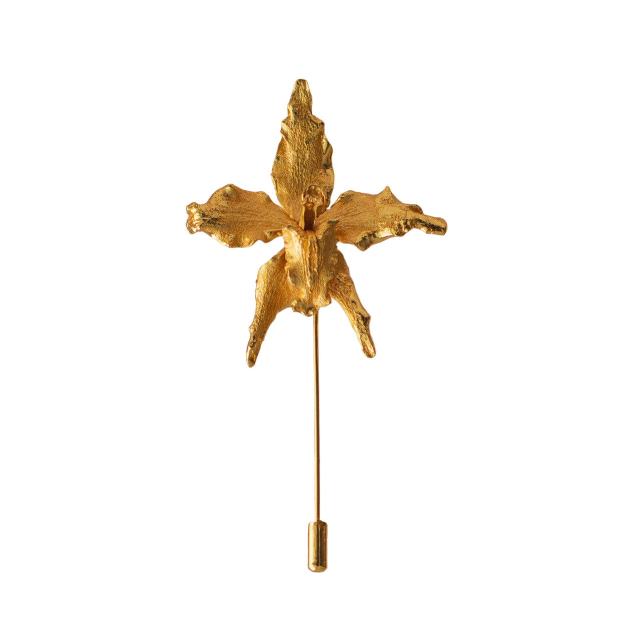 Broche Orquidea Crispum