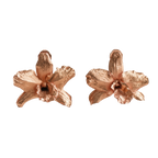 Aretes Topo Orquidea Dendrobium Nobile