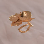 Anillo Orquidea Phalaenopsis Baby Ramita