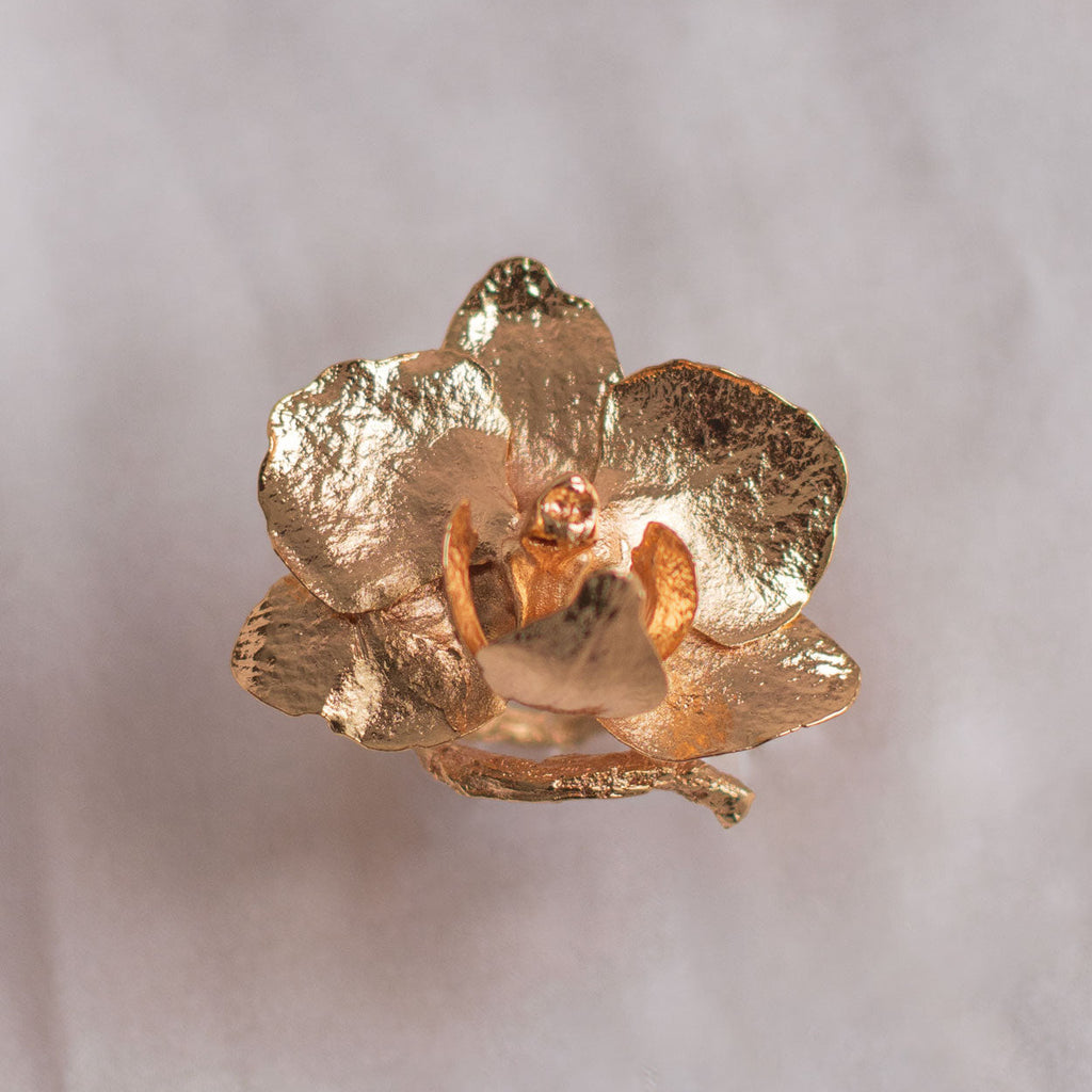 Anillo Orquidea Phalaenopsis Baby Ramita
